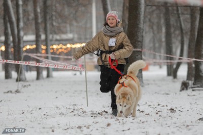 Мимиметры зашкаливали! В Белгороде провели забег «Хаски-TRAIL»