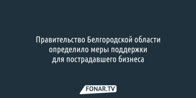 Правительство Белгородской области назвало меры поддержки для пострадавшего бизнеса