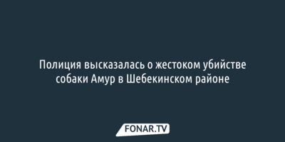 Полиция высказалась о жестоком убийстве собаки Амур в Шебекинском районе