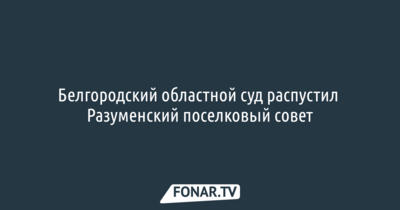 Белгородский областной суд распустил Разуменский поселковый совет