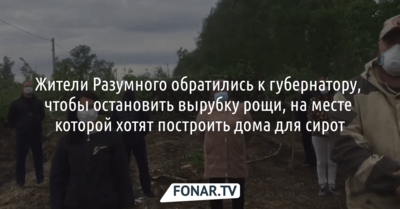 Жители Разумного обратились к губернатору, чтобы остановить вырубку рощи, на месте которой хотят построить дома для сирот