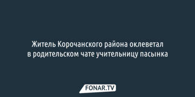 Житель Корочанского района оклеветал в родительском чате учительницу пасынка