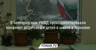 В белгородском УМВД прокомментировали конфликт родителей и детей в школе в Терновке