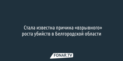 ​Стала известна причина «взрывного» роста убийств в Белгородской области