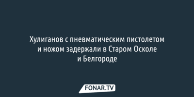 На голубей и людей напали в Белгороде и Старом Осколе