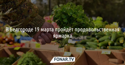 На Харгоре в Белгороде организуют километровую ярмарку с минимальными наценками