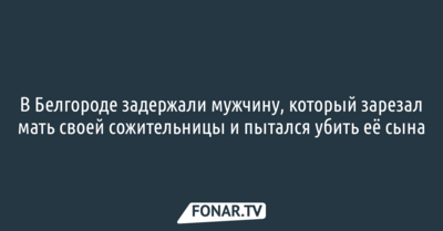В Белгороде задержали мужчину, который зарезал мать сожительницы и попытался убить её сына