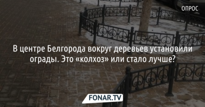 В центре Белгорода вокруг деревьев установили ограды. Это «колхоз» или стало лучше? [опрос]