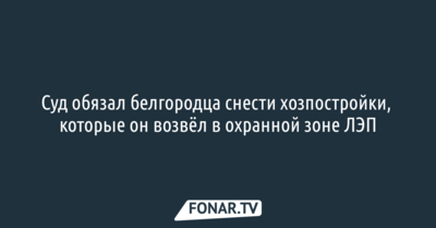 Суд обязал белгородца снести хозпостройки, которые он возвёл в охранной зоне ЛЭП
