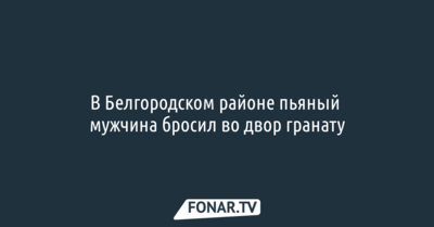 В Белгородском районе пьяный мужчина бросил во двор гранату