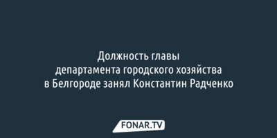 В Белгороде определились с новым начальником департамента городского хозяйства
