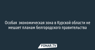 Открытие особой экономической зоны в Курской области не помешает планам белгородского правительства