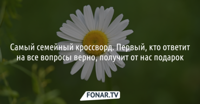 Самый семейный кроссворд ко Дню семьи, любви и верности [интерактив]