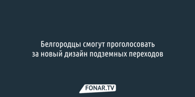 Белгородцы смогут проголосовать за новый дизайн подземных переходов