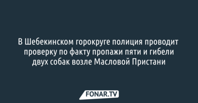 В Шебекинском горокруге полиция проводит проверку по факту пропажи пяти и гибели двух собак