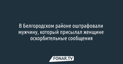 В Белгородской области оштрафовали мужчину, который присылал женщине оскорбительные сообщения
