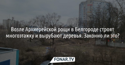 Возле Архиерейской рощи в Белгороде строят многоэтажку и вырубают деревья. Законно ли это?