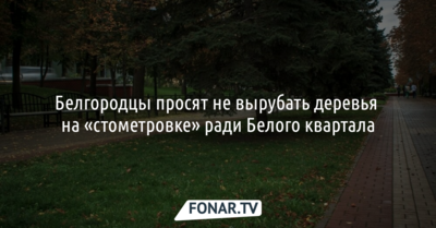 Белгородцы просят не вырубать деревья ради Белого квартала