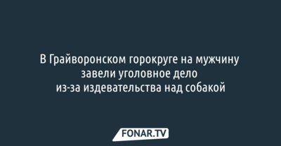 В Грайворонском горокруге на мужчину завели уголовное дело из-за издевательства над собакой