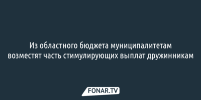 Из областного бюджета муниципалитетам возместят часть стимулирующих выплат дружинникам