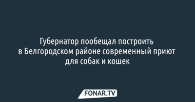 Губернатор пообещал построить в Белгородском районе современный приют для собак и кошек