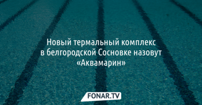Новый термальный комплекс в белгородской Сосновке назовут «Аквамарин»