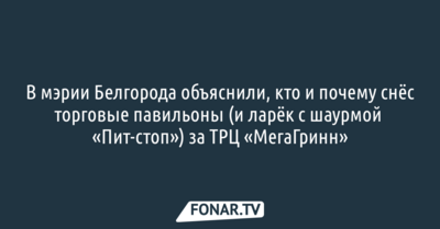 В мэрии Белгорода объяснили, кто и почему снёс торговые павильоны за ТРЦ «МегаГринн»