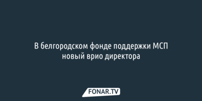 В белгородском фонде поддержки МСП новый врио директора