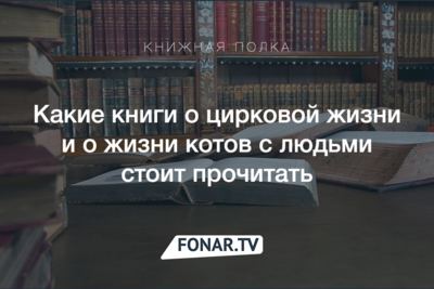 Книжная полка. Какие книги о котах и цирке мы советуем прочесть