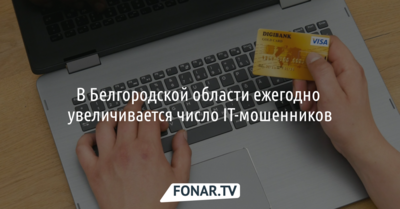 В Белгородской области в 2,5 раза за два года выросло число кибермошенников