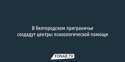 В белгородском приграничье создадут центры психологической помощи