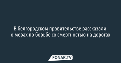 В белгородском правительстве рассказали, как будут уменьшать количество смертей в ДТП
