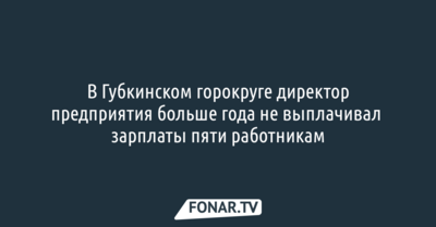 В Губкинском горокруге директор предприятия больше года не выплачивал зарплаты пяти работникам