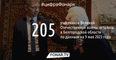 В Белгородской области осталось 205 участников войны