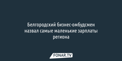 Белгородский бизнес-омбудсмен назвал самые маленькие зарплаты региона