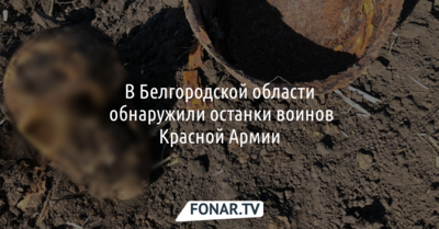 В Яковлевском районе обнаружили останки двух красноармейцев