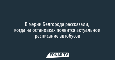 В мэрии Белгорода рассказали, когда на остановках города появится актуальное расписание автобусов