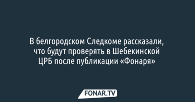 В белгородском Следкоме рассказали, что будут проверять в Шебекинской ЦРБ после публикации «Фонаря» о гибели женщин