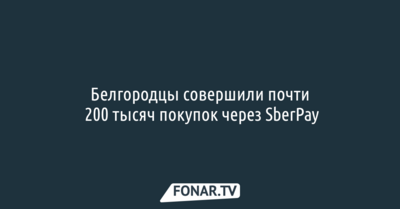 Белгородцы совершили почти 200 тысяч покупок через SberPay