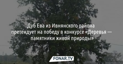 Ева из Ивнянского района претендует на победу в конкурсе «Деревья — памятники живой природы»
