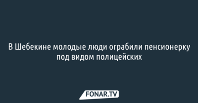 В Шебекине злоумышленники представились полицейскими и ограбили пенсионерку