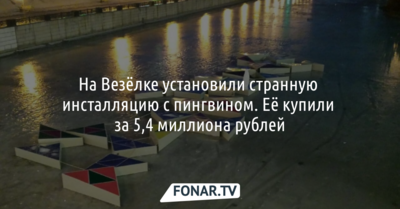 На Везёлке установили странную инсталляцию с пингвином. Её купили за 5,4 миллиона рублей