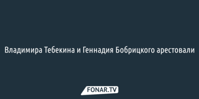 Владимира Тебекина и Геннадия Бобрицкого арестовали