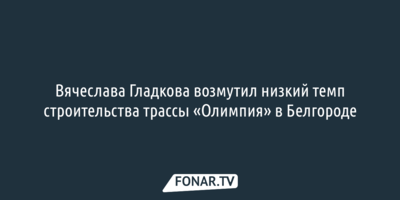 Вячеслава Гладкова возмутил низкий темп строительства трассы «Олимпия» в Белгороде