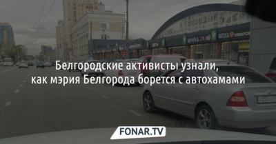 Белгородские активисты узнали, как мэрия Белгорода борется с автохамами