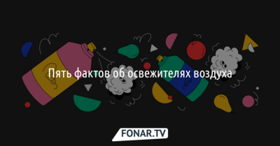 Пять фактов об освежителях воздуха [инфографика]