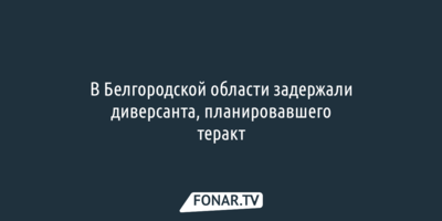 В Белгородской области задержали диверсанта, планировавшего теракт 
