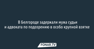 ​В Белгороде задержали мужа судьи и адвоката по подозрению в особо крупной взятке