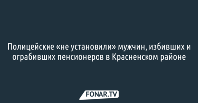 Полицейские «не установили» мужчин, избивших и ограбивших пенсионеров в Красненском районе
