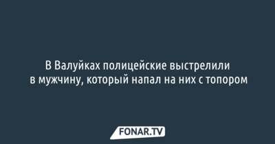 В Валуйках полицейские выстрелили в мужчину, который напал на них с топором 